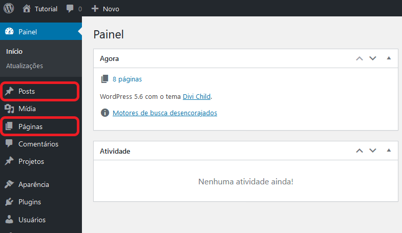 posts_options Posts e Páginas